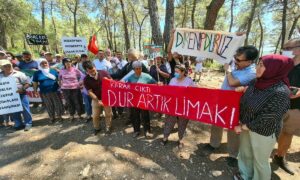 Mahkeme, Akbelen ormanlarını kömür için kesmek isteyen şirkete ‘dur’ dedi