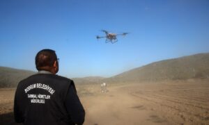 DRON İLE İLAÇMA DÖNEMİ BAŞLIYOR