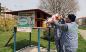 SOĞUK HAVALARDA CAN DOSTLARININ YANINDA