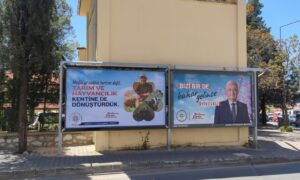 “Bizi Bir de Bahar Gelince Görün”