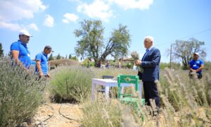 Lavanta Bahçesi Yeni Sezona Hazırlanıyor