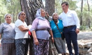 Ahmet Aras’tan termik santrali sahipleri Nihat Özdemir ve İbrahim Çeçen’e açık mektup