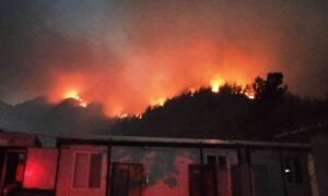 MUĞLA VALİLİĞİNDEN YANGIN ÇAĞRISI ÖNLEMEK
