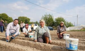 MİLAS BELEDİYESİ’NDEN İLÇE TARIMINA BÜYÜK DESTEK