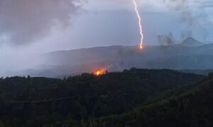 Yıldırım orman yaktı!