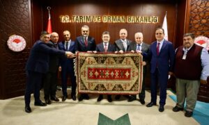 VALİ VE  AK PARTİ MİLLETVEKİLLERİNİN BAKAN ZİYARETİ