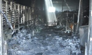 Yavru balık üretim tesisindeki yangında 39 milyon balık telef oldu