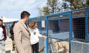 Mandalinci’den sokak hayvanları için refah sözü