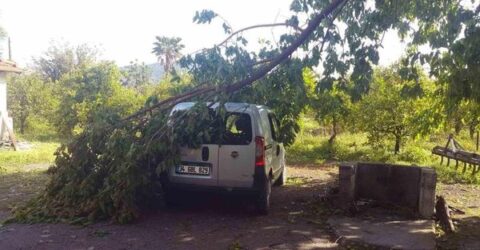 Muğla Menteşe’de Ağaçlar yıkıldı, Araçlar hasar gördü ,Çatılar uçtu .