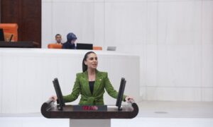 Muğla Milletvekili Gizem Özcan;