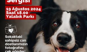 Can Dostlar Farkındalık  Fotograf Sergisi bu gün açılıyor