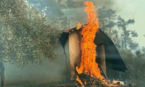 Sarnıç yangını emekleri yok etti.  