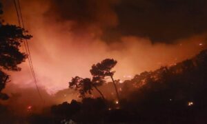 Muğla Ormanları yine yanıyor!