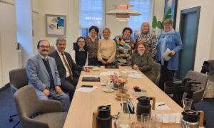 Sağlık Hizmetlerinde Hollanda Örneği