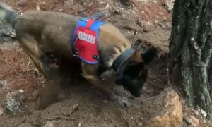 Muğla’da öldürüldüğü 19 yıl sonra ortaya çıktı