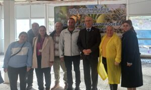 Badem Biti ve Zeytin Zararlılarıyla Mücadele