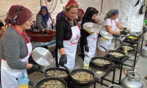 Bodrum hamsi festivalinde 3 ton hamsi dağıtıldı