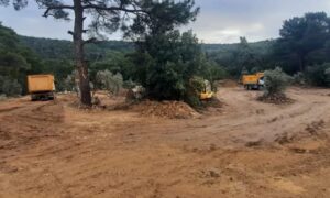 Bodrum’da inşaat yapmak için Zeytinleri kestiler