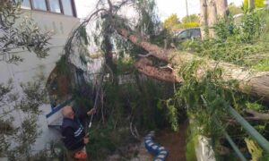 Bodrum’da fırtına ve sağanak etkili oluyor