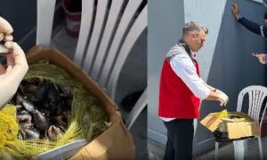 Otobüs Terminali’nde Kaçak Et’den sonra şimdide Midye yakalandı .