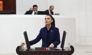 “Hayvanların Yaşam hakkını Gasp eden yasa Belediyelere de baskı aracına dönüştü “”