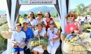 Fethiye’de Lavanta hasadında  renkli görüntüler