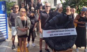 Hayvan severler Bodrum Belediyesi’ne siyah çelenk bıraktı “Bugün hesap sorma günüdür”