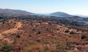 Bodrum yarımadasında toptan satamadıkları   1 milyon m2 araziyi, parça parça satışa çıkardılar.
