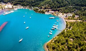 Bodrum ve Gökova’nın cennet koyları kurtuldu.