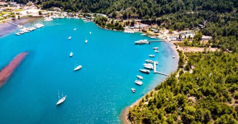 Bodrum ve Gökova’nın cennet koyları kurtuldu.