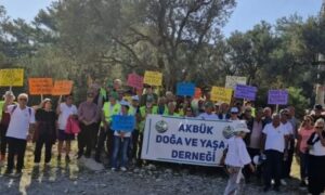 Akbük cennetindeki Kalker ve Taş Ocağı Projesi’nin ÇED gerekli değildir  raporu iptal edildi