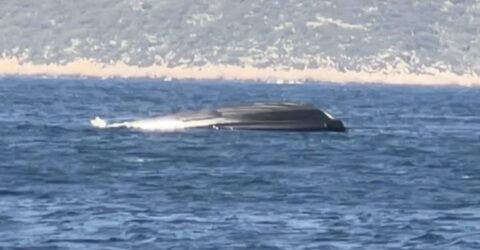 Frontex sınır muhafaza botu battı  biri ağır 5  kişi yaralandı.