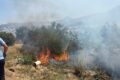 Bodrum Makilik alan yangını