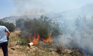 Bodrum Makilik alan yangını
