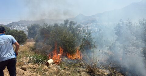 Bodrum Makilik alan yangını
