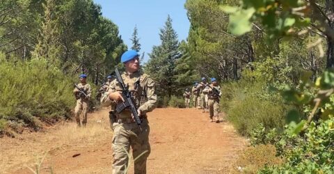 Orman yangınlarına  Kolluk Kalkanı: Jandarma ve Emniyet El Ele
