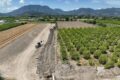 Dalaman Ovasında121 Bin 240 Dönüm Arazi Modern Sistemle Sulanacak