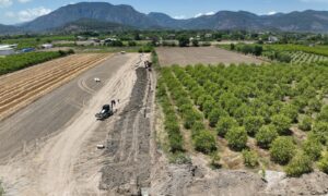 Dalaman Ovasında121 Bin 240 Dönüm Arazi Modern Sistemle Sulanacak