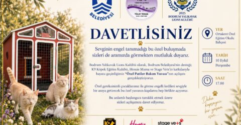 GÖRME ENGELLİ KEDİLER YENİ YUVASINA KAVUŞUYOR